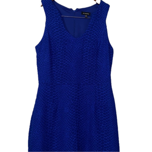 3/$30 Le Château Dress